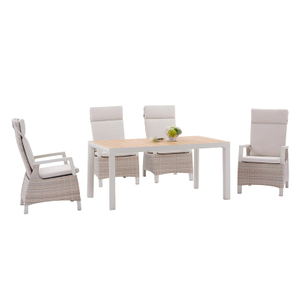 1769-2C+1698-T-M Dinning Set