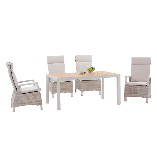 1769-2C+1698-T-M Dinning Set