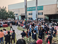 Alpha Garden Furniture 