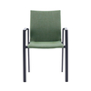 Ligne Elegante Chair